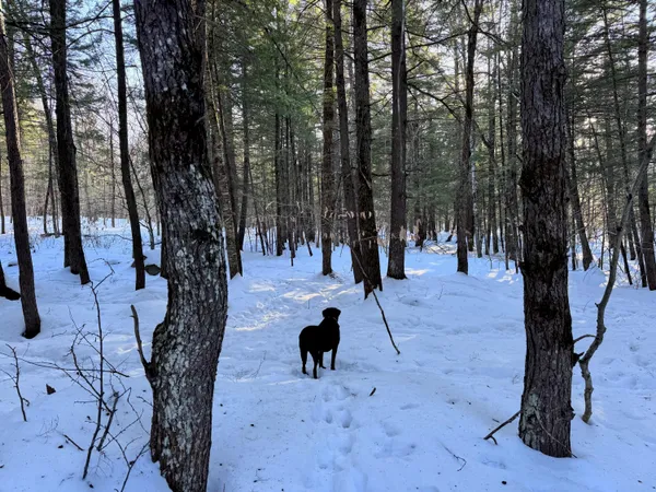 $465,000 | M10-l44 Mountain View Road, Fryeburg, ME 04037