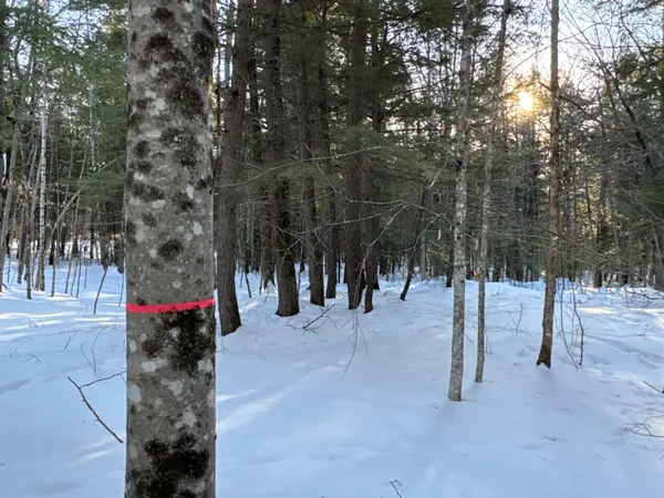 $465,000 | M10-l44 Mountain View Road, Fryeburg, ME 04037