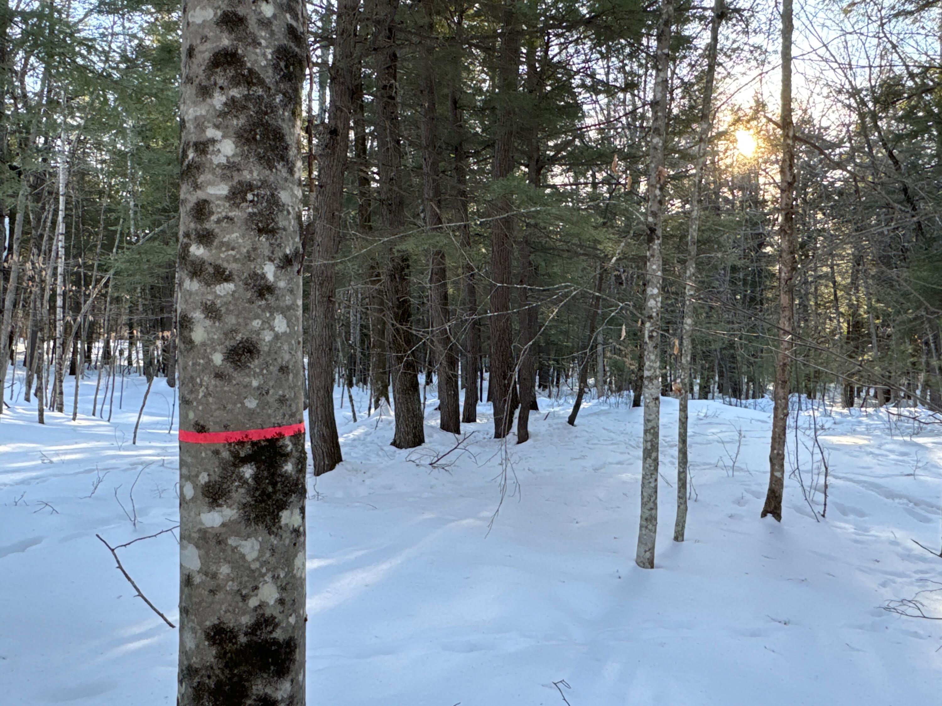 M10-l44 Mountain View Road Fryeburg, ME 04037 - Photo 16 of 36 IMG_3547