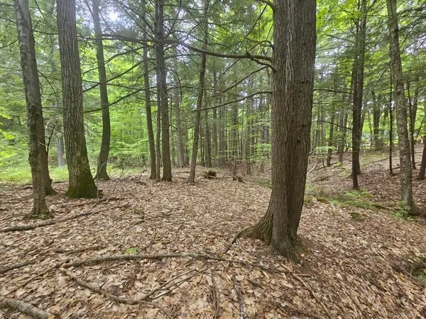 $465,000 | M10-l44 Mountain View Road, Fryeburg, ME 04037