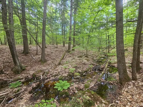 $465,000 | M10-l44 Mountain View Road, Fryeburg, ME 04037