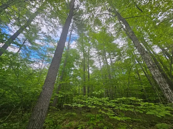 $465,000 | M10-l44 Mountain View Road, Fryeburg, ME 04037