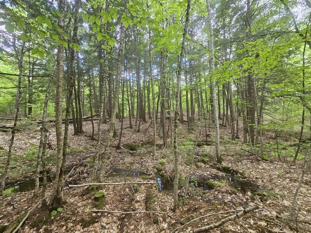 M10-l44 Mountain View Road Fryeburg, ME 04037 - Photo 24 of 36 20250527_172945
