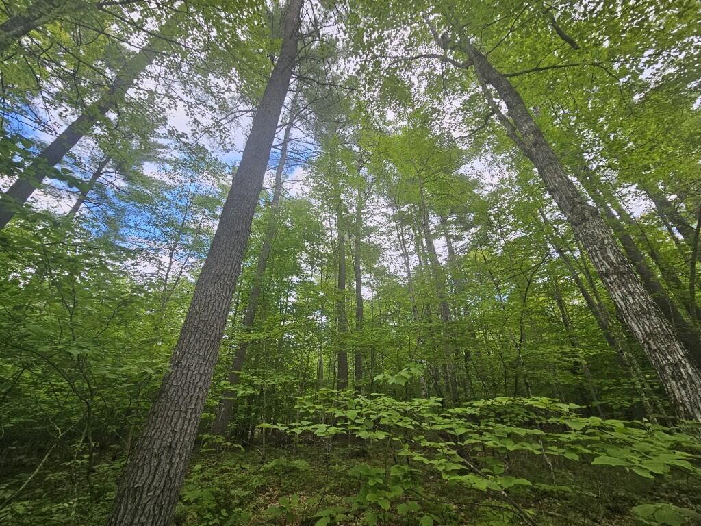 M10-l44 Mountain View Road Fryeburg, ME 04037 - Photo 25 of 36 20250527_174632