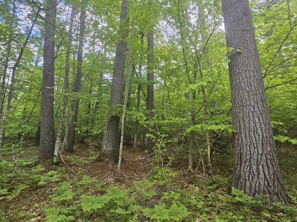 M10-l44 Mountain View Road Fryeburg, ME 04037 - Photo 26 of 36 20250527_174718