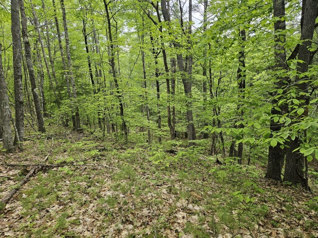 M10-l44 Mountain View Road Fryeburg, ME 04037 - Photo 28 of 36 20250527_175444