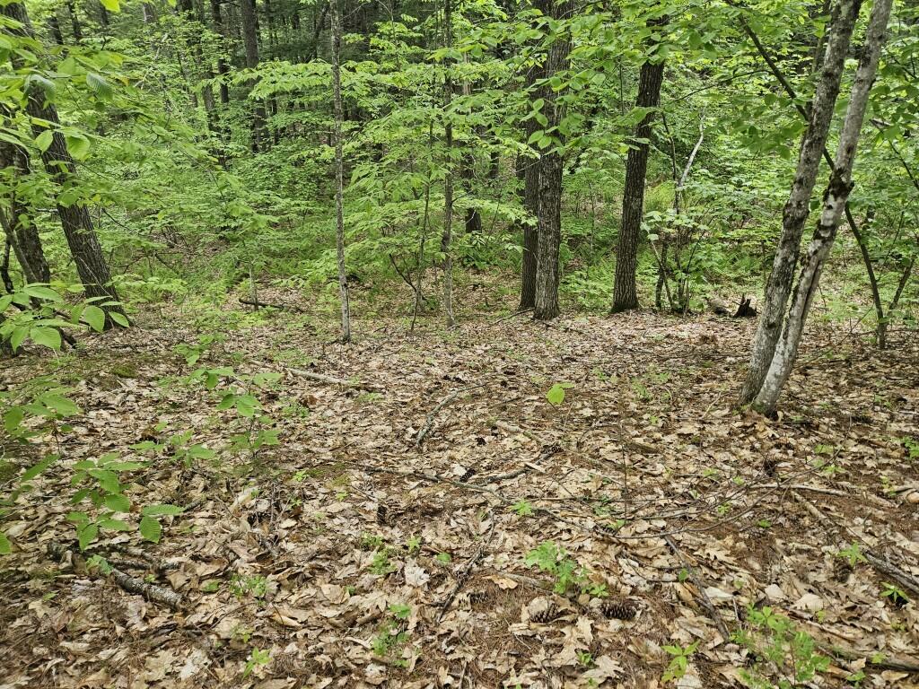M10-l44 Mountain View Road Fryeburg, ME 04037 - Photo 29 of 36 20250527_175449