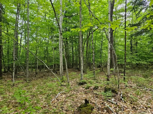 $465,000 | M10-l44 Mountain View Road, Fryeburg, ME 04037