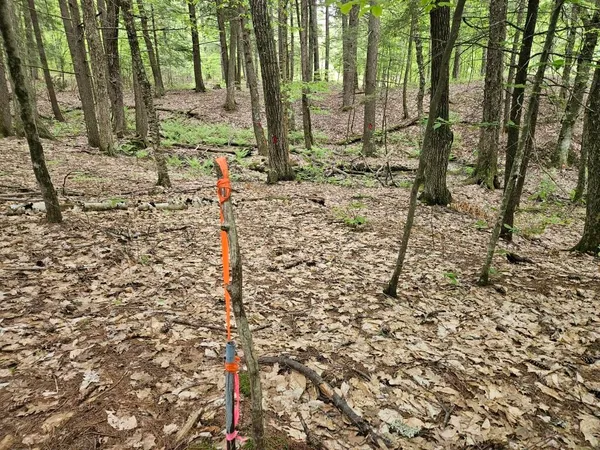 $465,000 | M10-l44 Mountain View Road, Fryeburg, ME 04037