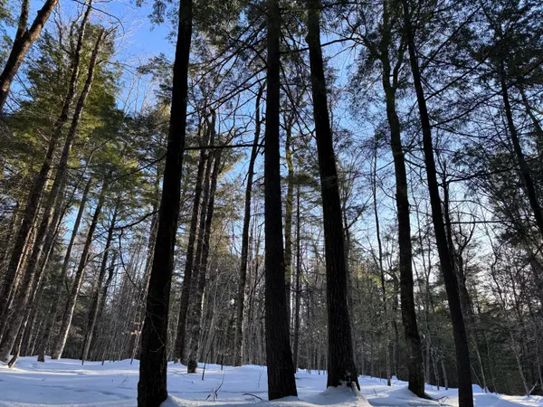 $465,000 | M10-l44 Mountain View Road, Fryeburg, ME 04037