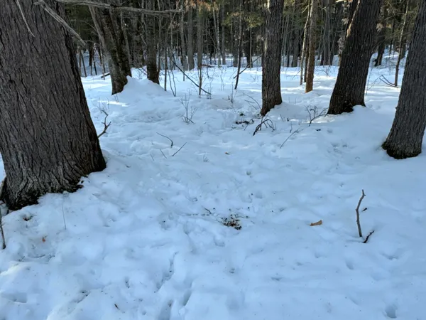$465,000 | M10-l44 Mountain View Road, Fryeburg, ME 04037