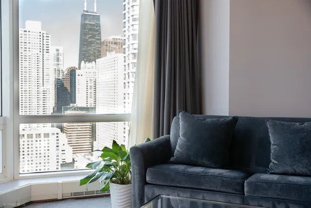 a living room with furniture and a potted plant