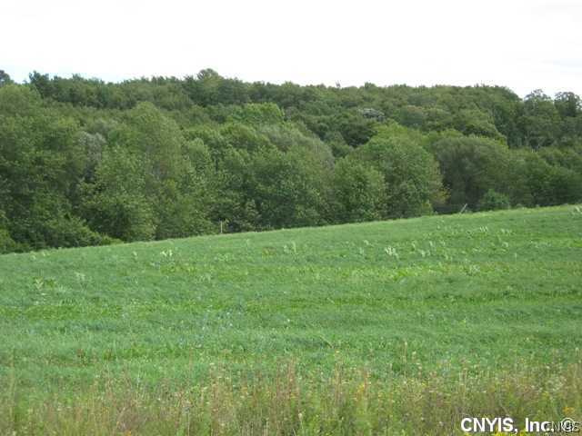 Lot #2 Bussey Road Onondaga, NY 13215 - Photo 1 of 1 Exterior Front