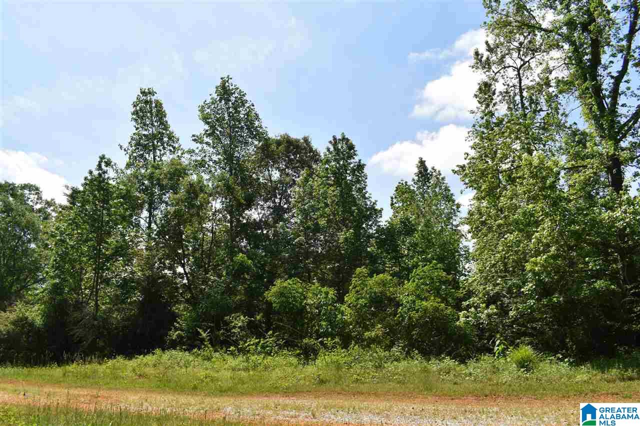 Lot 41 County Road 264, Unit RIVER BREEZE ESTATES Wedowee, AL 36278 - Photo 8 of 16