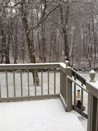 7 Richard Circle Andover, MA 01810 - Photo 17 of 20 Gallery Image 17