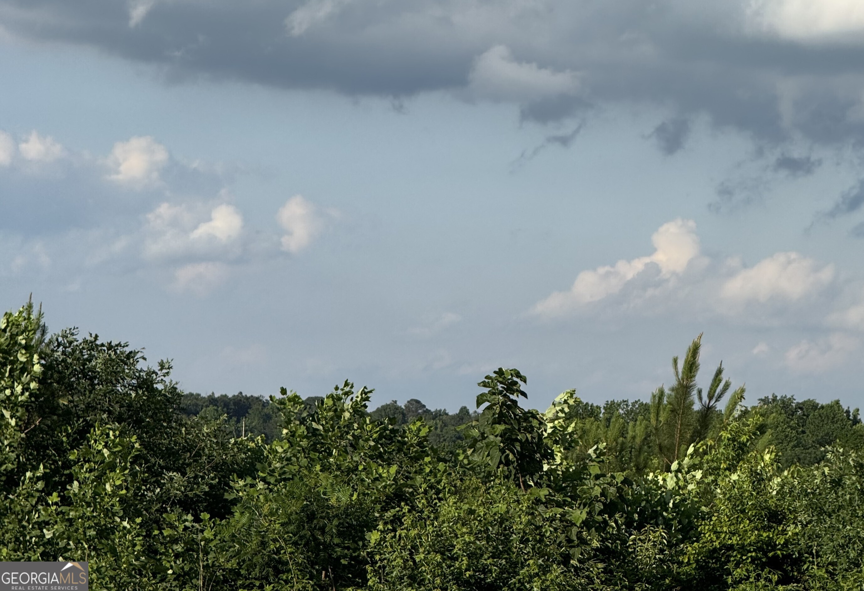 0 Co Rd 49 Muscadine, AL 36269 - Photo 2 of 6