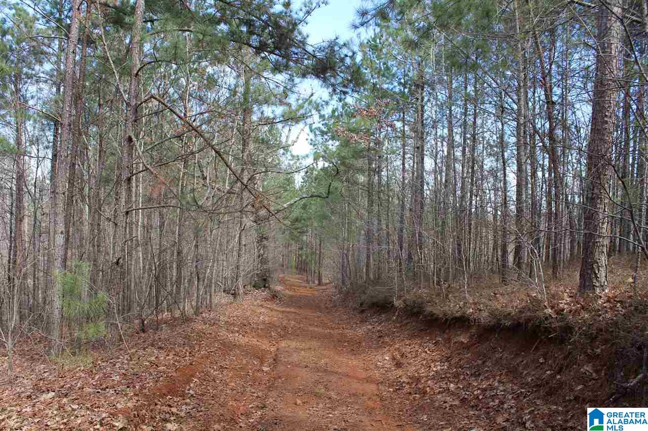 0 County Road 893 Heflin, AL 36264 - Photo 16 of 17