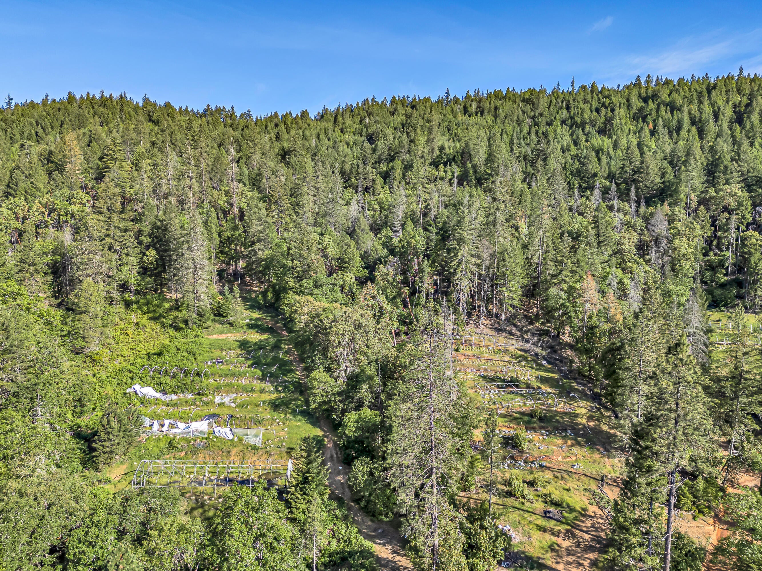 3540 Galice Road Merlin, OR 97532 - Photo 43 of 47 Overhead