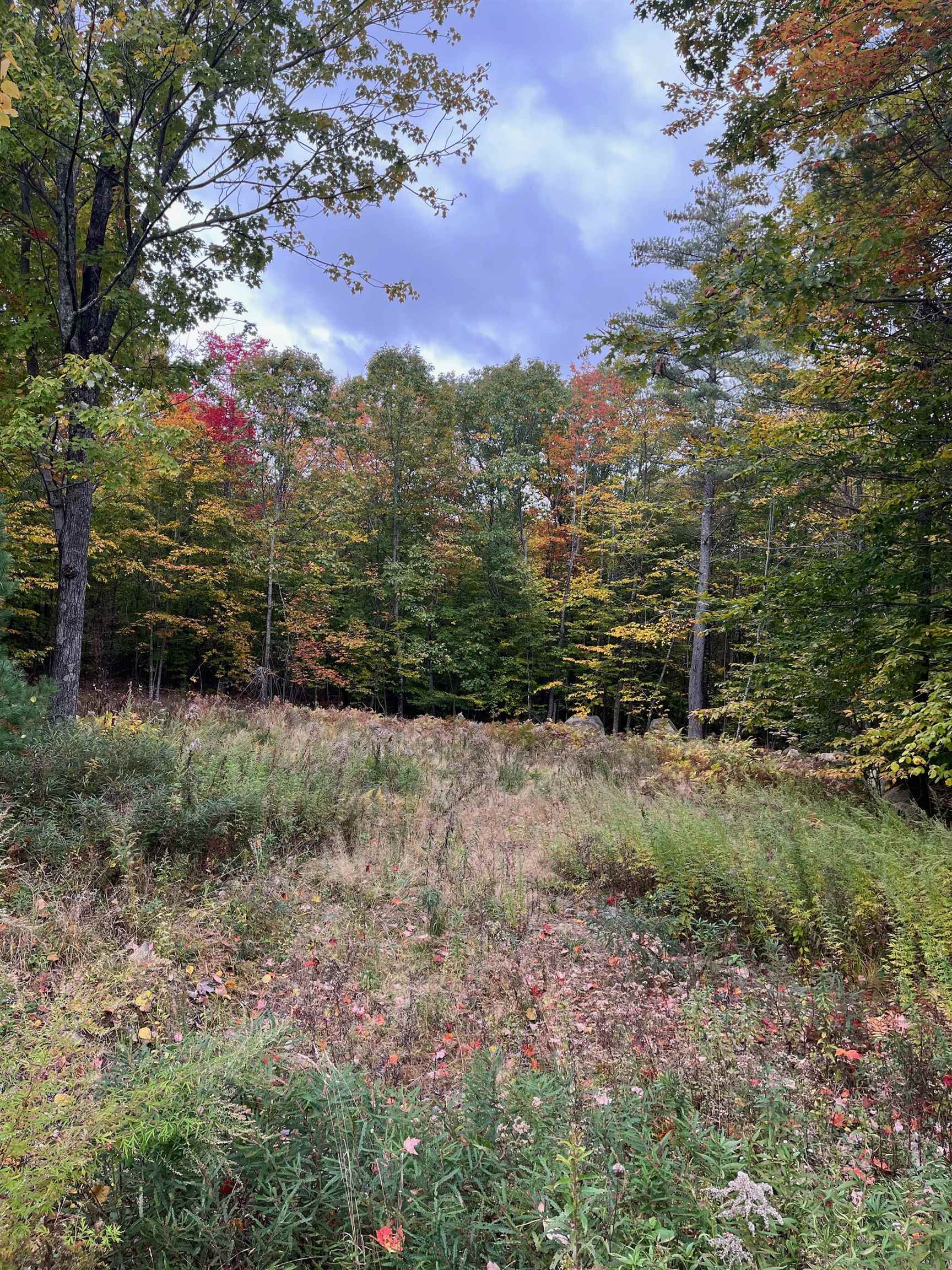 Lot 12 Daniel Drive East Wakefield, NH 03830 - Photo 1 of 5
