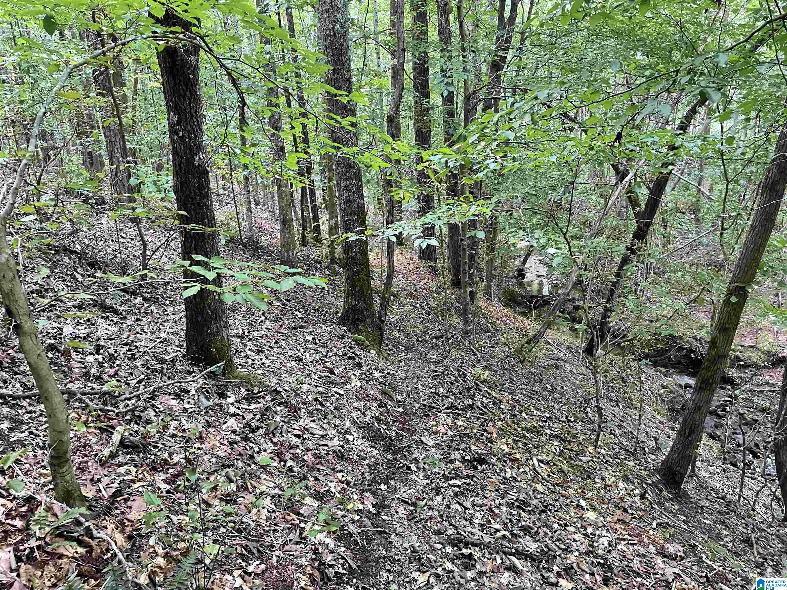 0 County Road 689, Unit 1 Ranburne, AL 36273 - Photo 53 of 69