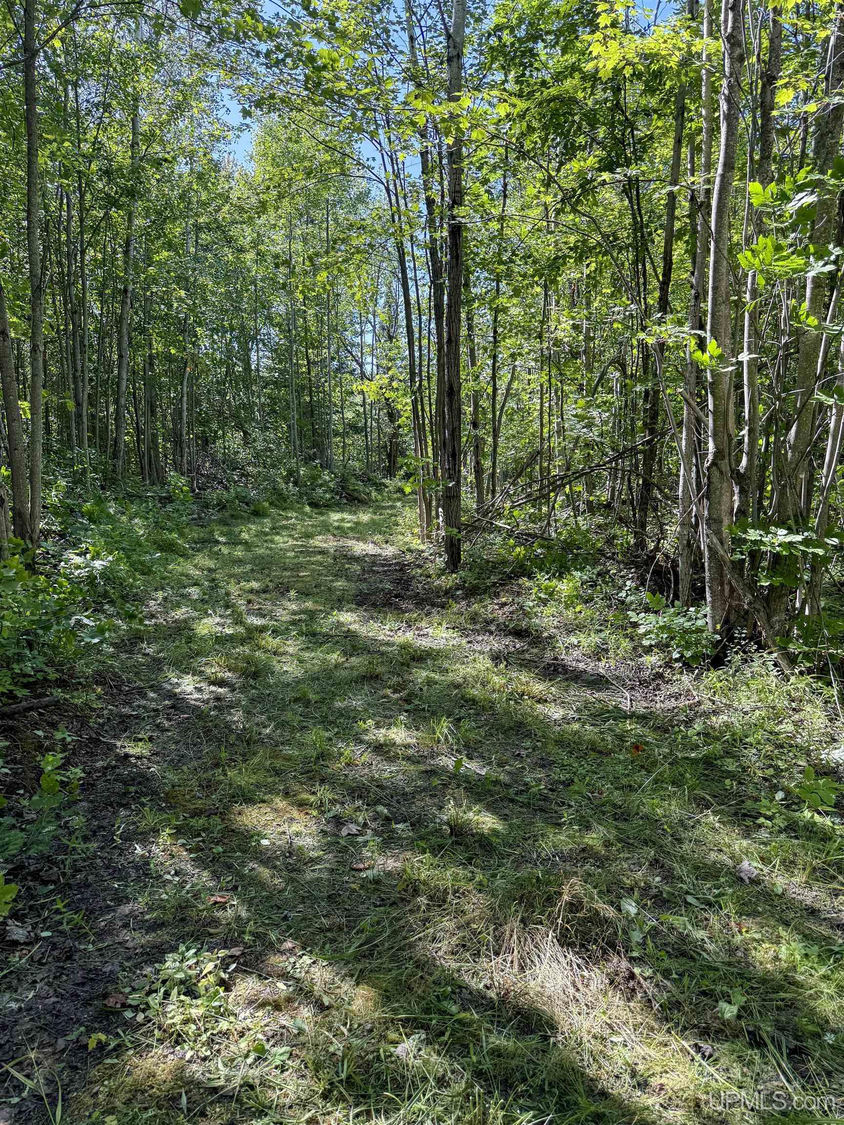 Lot 2 Off Hwy M-64 Road Ontonagon, MI 49953 - Photo 4 of 37