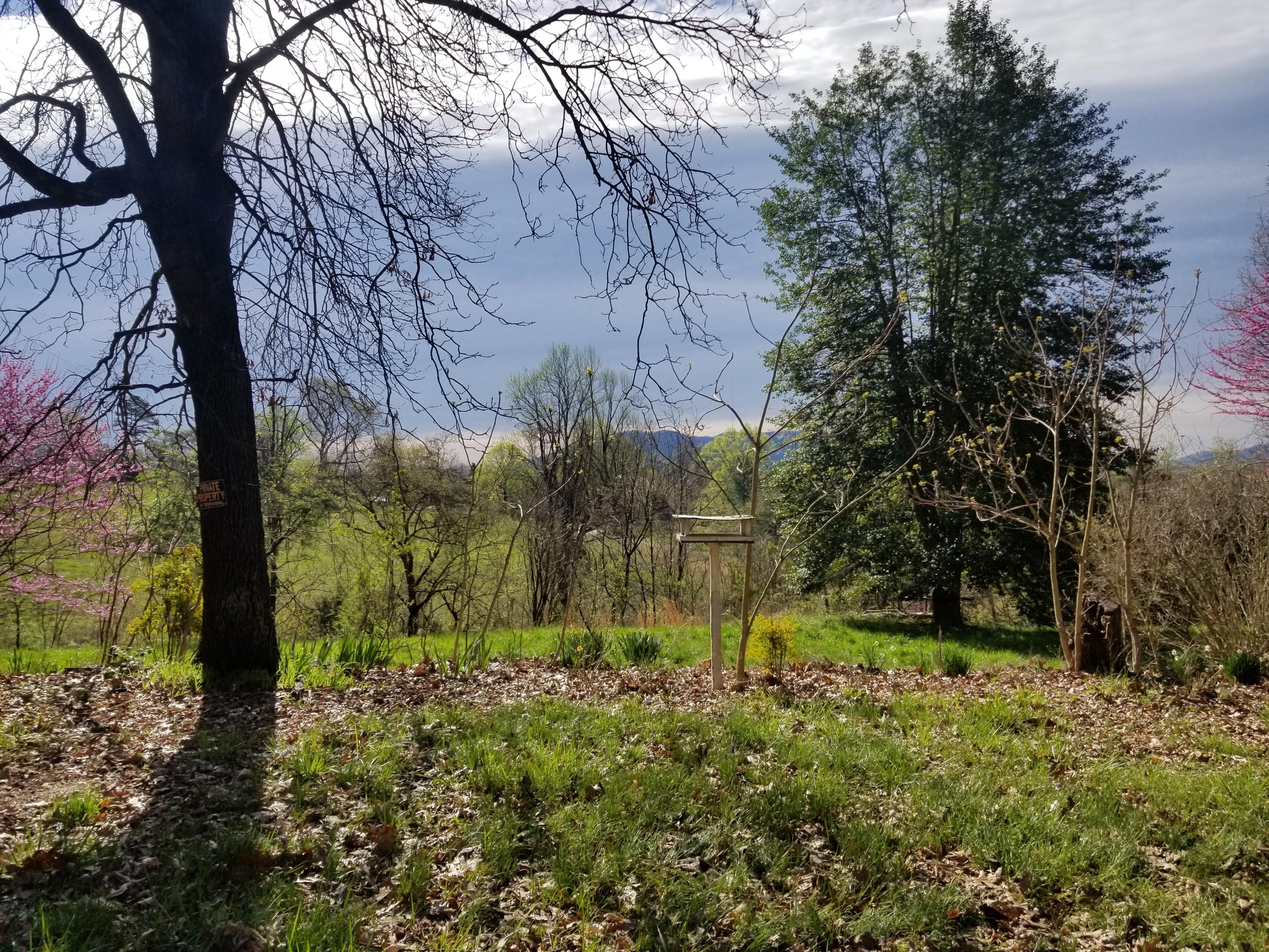 1071 Murray Hollow Road Thaxton, VA 24174 - Photo 1 of 5 a view of backyard with tree