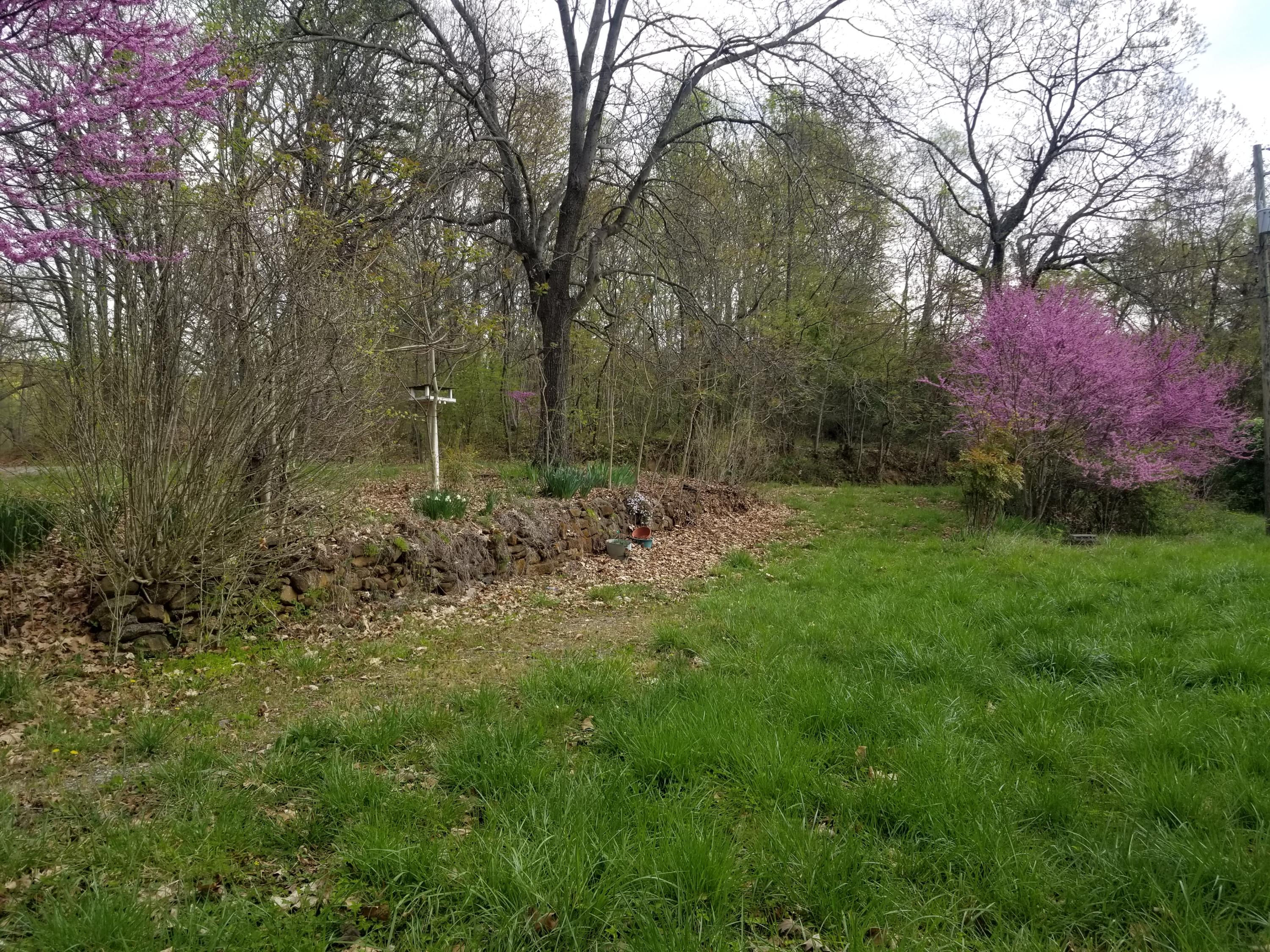 1071 Murray Hollow Road Thaxton, VA 24174 - Photo 4 of 5 a big yard with lots of green space and trees