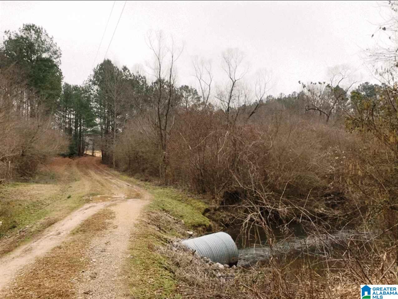 Mountain Street, Unit 12 Heflin, AL 36264 - Photo 2 of 5
