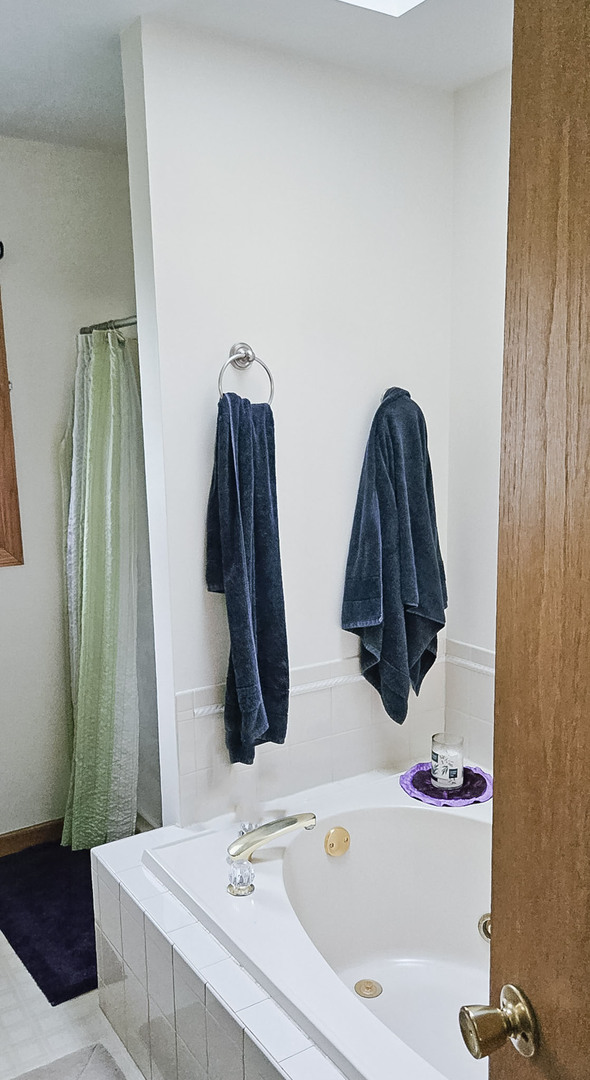 1808 May Drive Johnsburg, IL 60051 - Photo 19 of 32 a bathroom with a sink and a tub