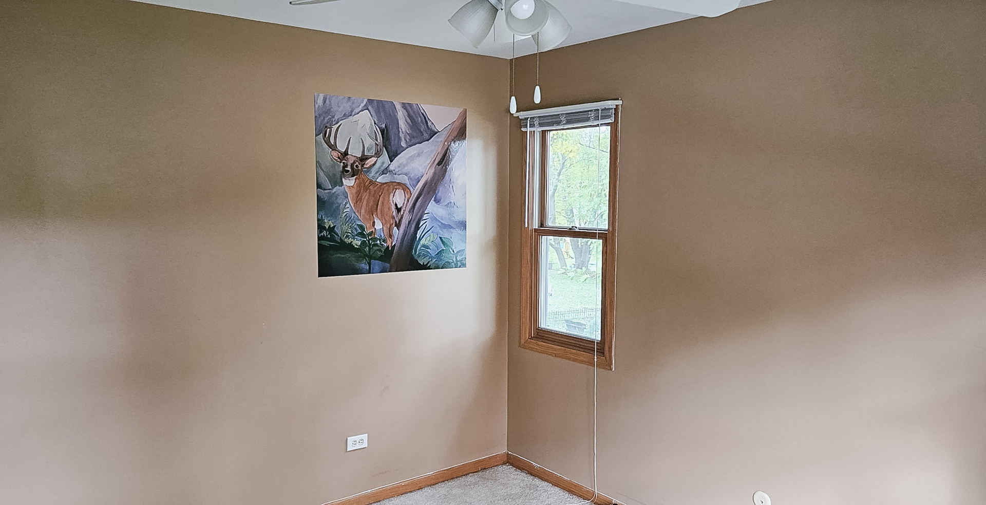 1808 May Drive Johnsburg, IL 60051 - Photo 23 of 32 a view of painting on the wall