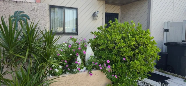 a view of a potted plant in front of a house