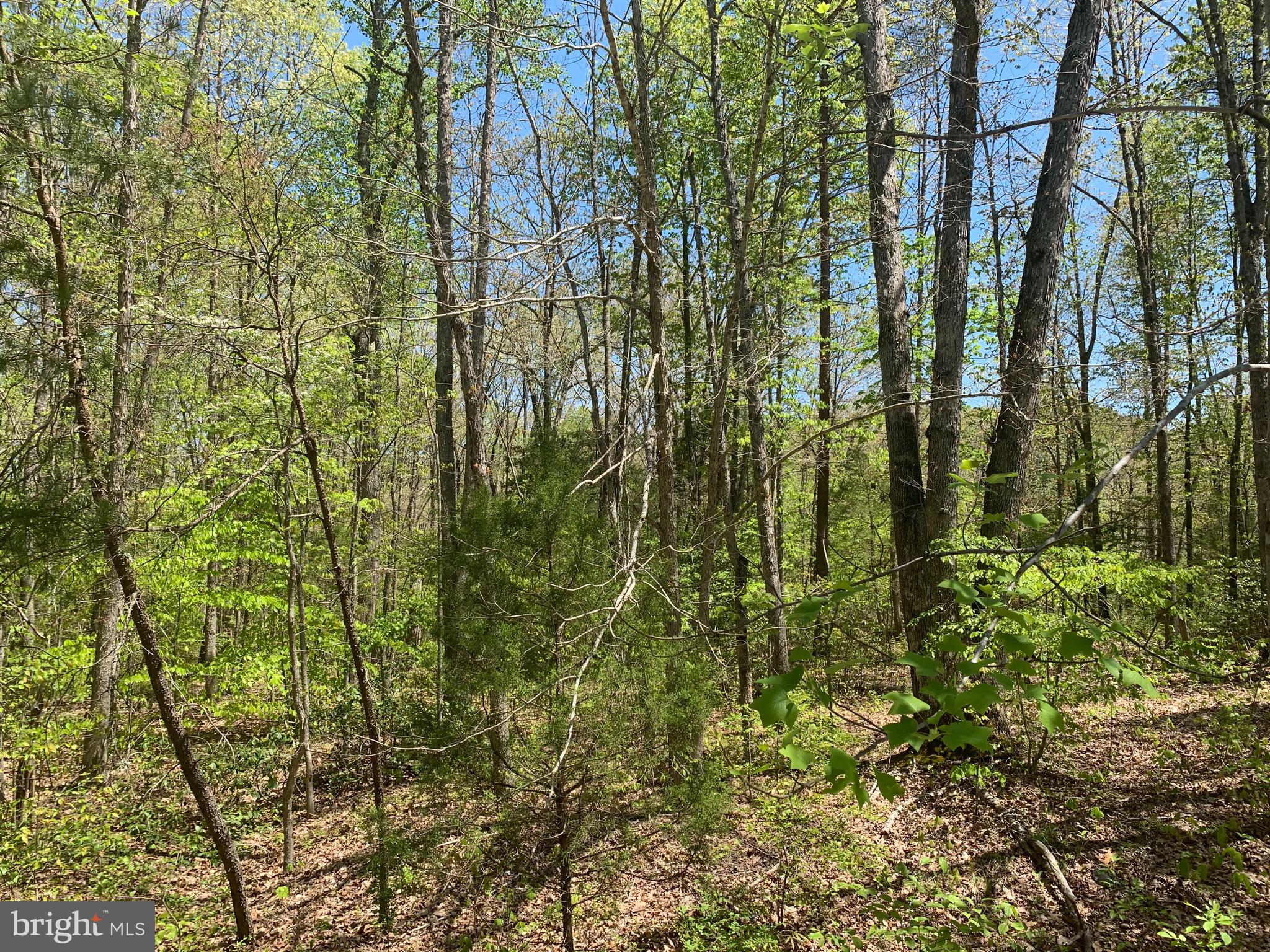 Sillamon Road Goldvein, VA 22720 - Photo 1 of 1 Gallery Image 1