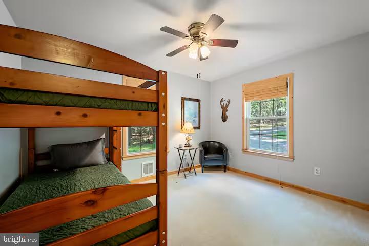 393 Timber Run Road Mathias, WV 26812 - Photo 25 of 31