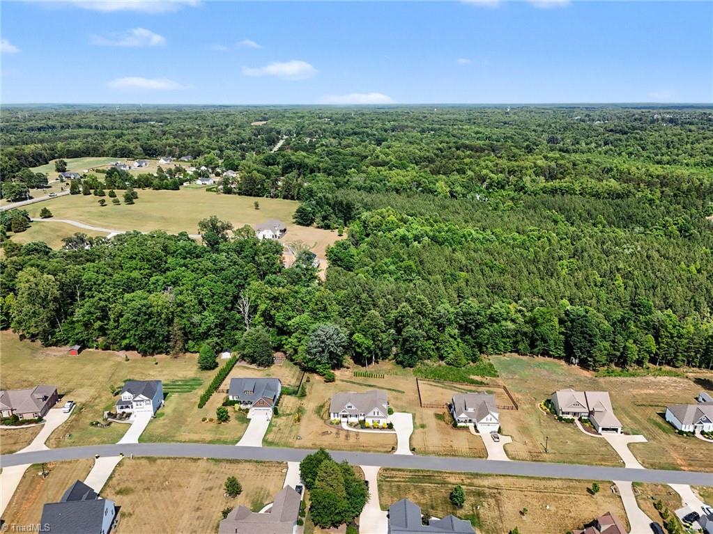 8869 Belews Ridge Road Stokesdale, NC 27357 - Photo 37 of 38