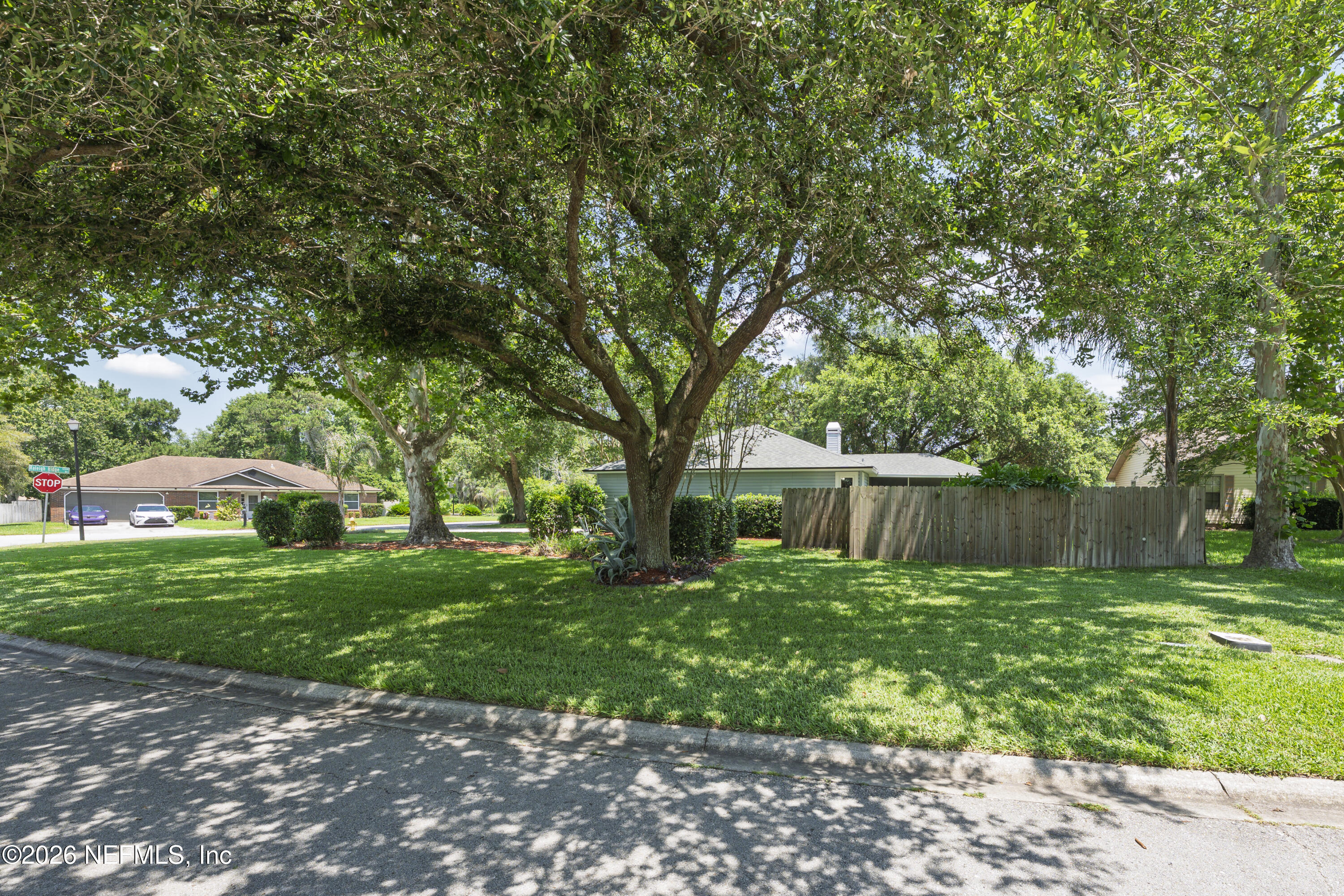 1231 Raleigh Ridge Drive Jacksonville, FL 32225 - Photo 3 of 24 Expansive Front Yard