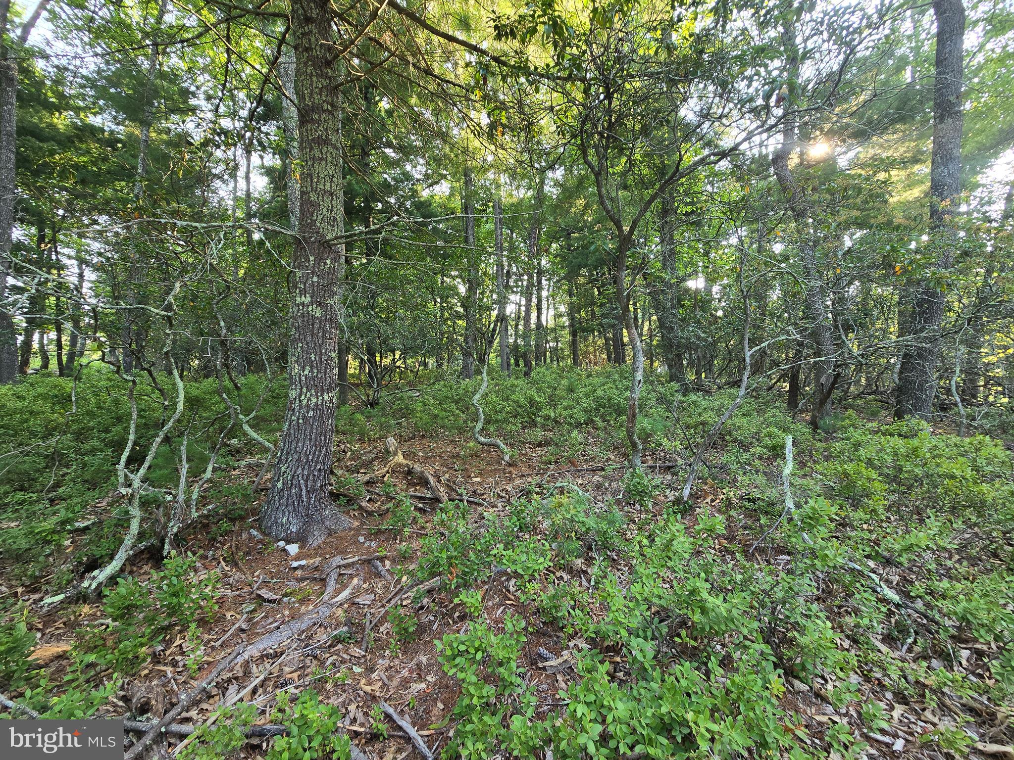 Lot # Highland Ridge Franklin, WV 26807 - Photo 5 of 19 Gallery Image 5