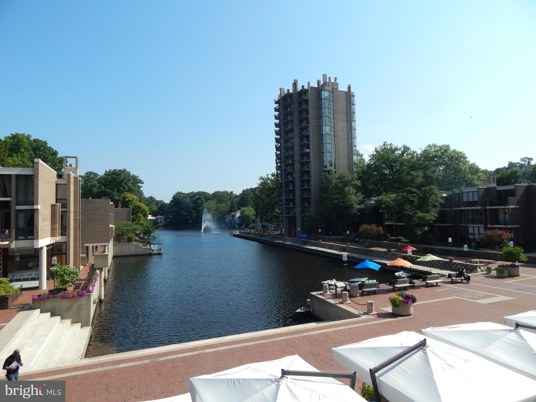 1620 Chimney House Road, Unit 1620 Reston, VA 20190 - Photo 16 of 16 a view of outdoor space with lake view