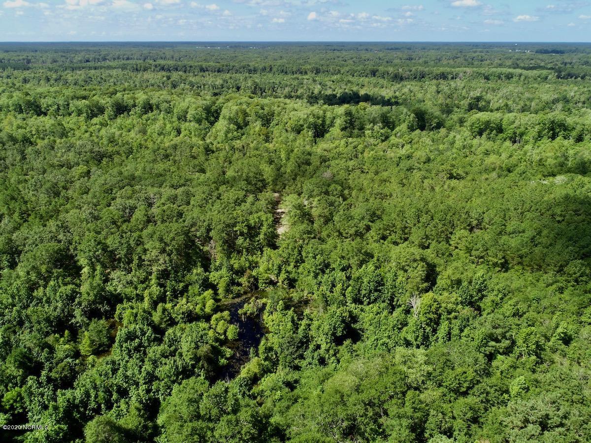8915 River Road Vanceboro, NC 28586 - Photo 21 of 51 DJI_0028