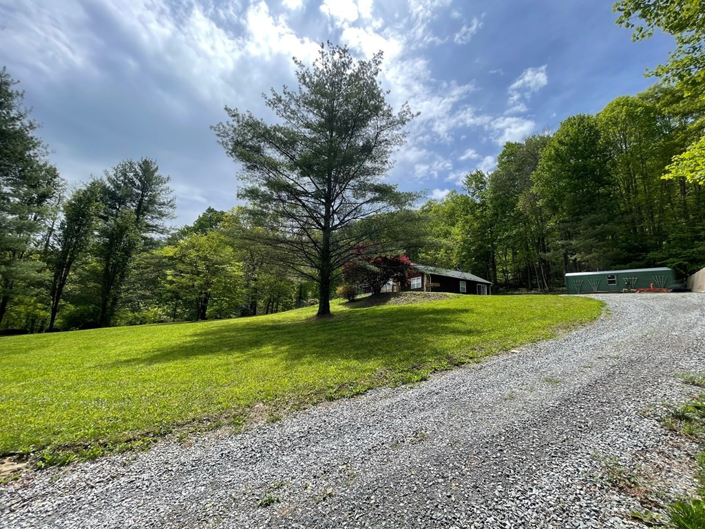 369 Old Colvard Road Robbinsville, NC 28771 - Photo 4 of 46 Gallery Image 4