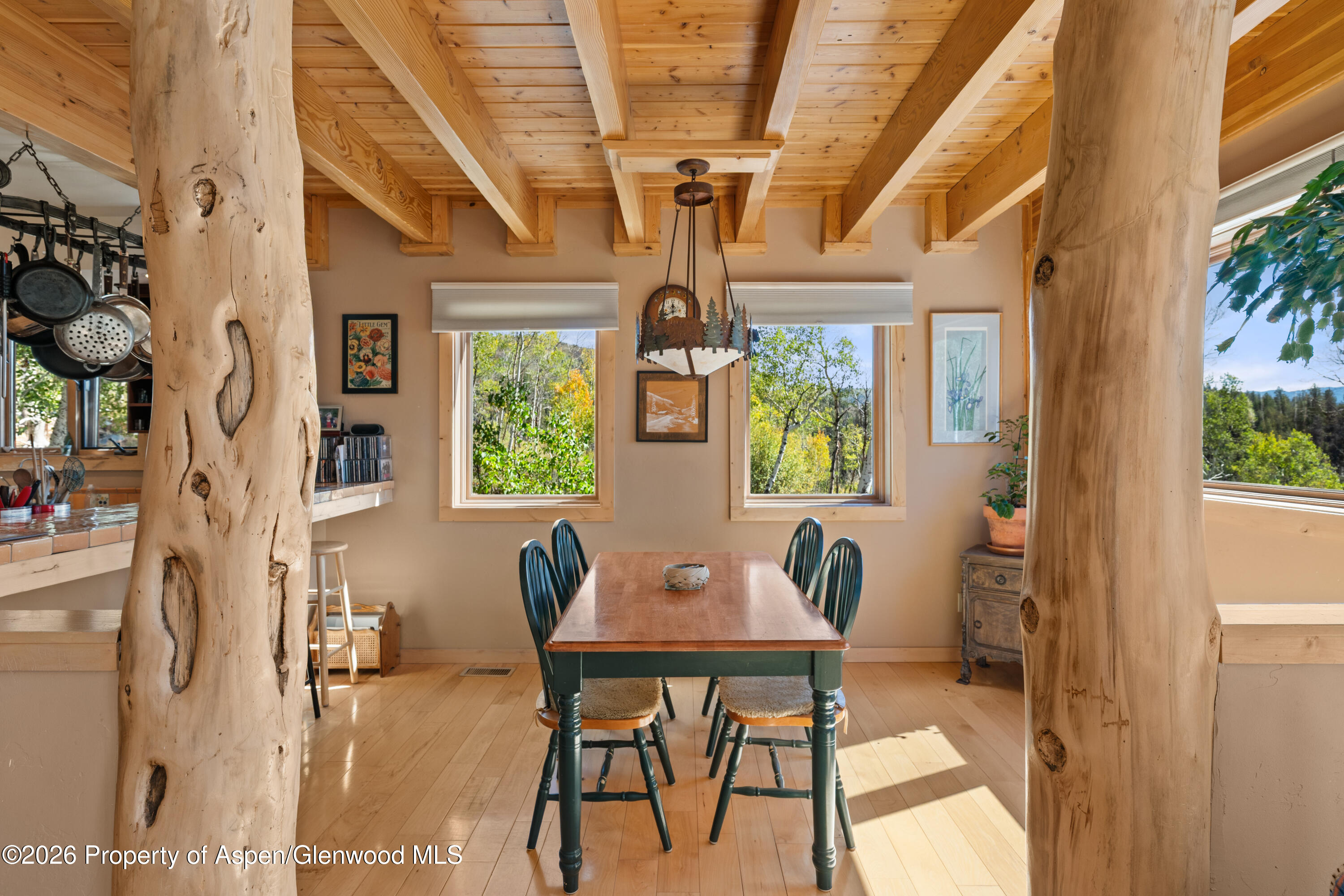 372 Hawk Lane Basalt, CO 81621 - Photo 5 of 49 22-372HawkLn_26092022