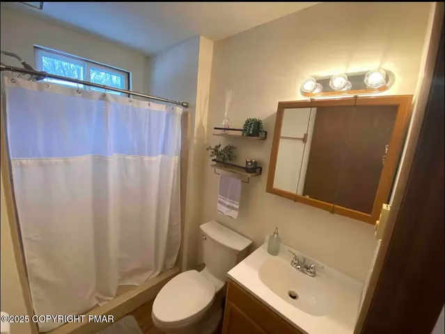 a bathroom with a sink a toilet and shower curtain