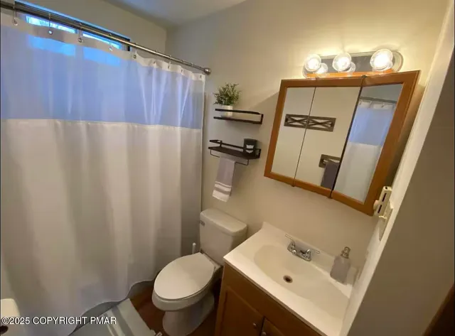 a bathroom with a sink a toilet a mirror and shower curtain