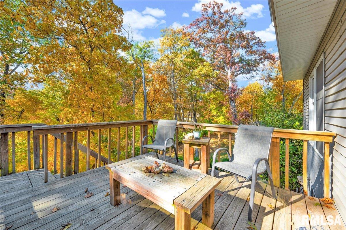 6 Raleigh Avenue Mackinaw, IL 61755 - Photo 11 of 55