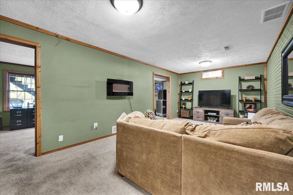 6 Raleigh Avenue Mackinaw, IL 61755 - Photo 26 of 55