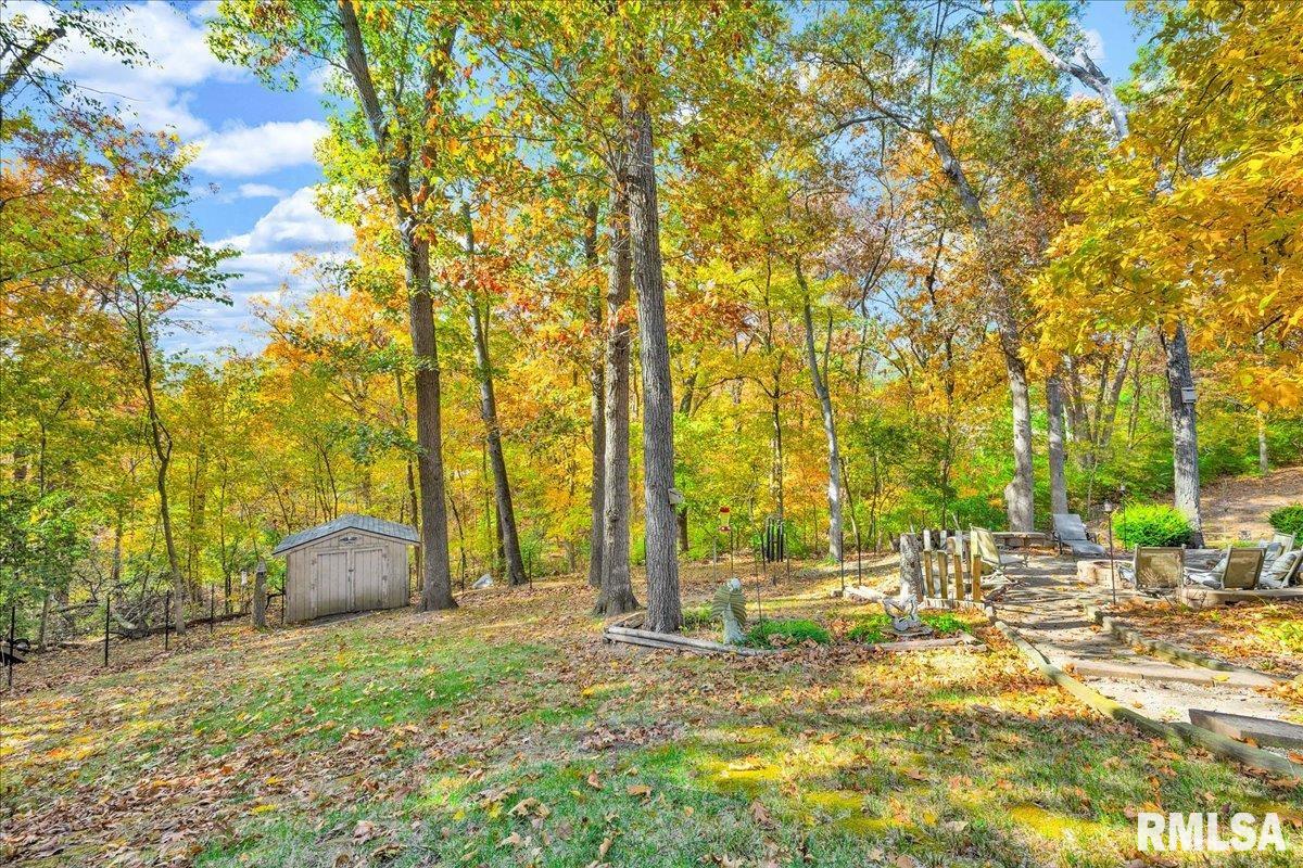 6 Raleigh Avenue Mackinaw, IL 61755 - Photo 40 of 55