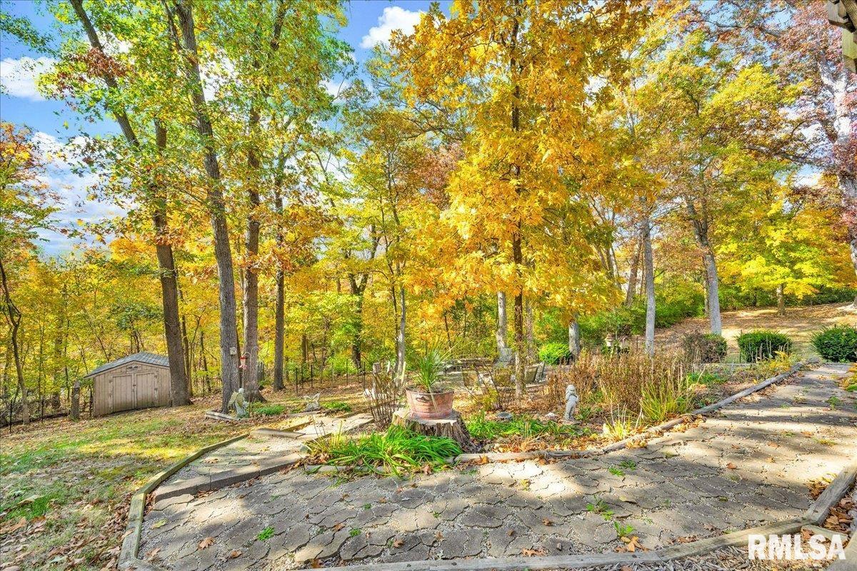 6 Raleigh Avenue Mackinaw, IL 61755 - Photo 43 of 55