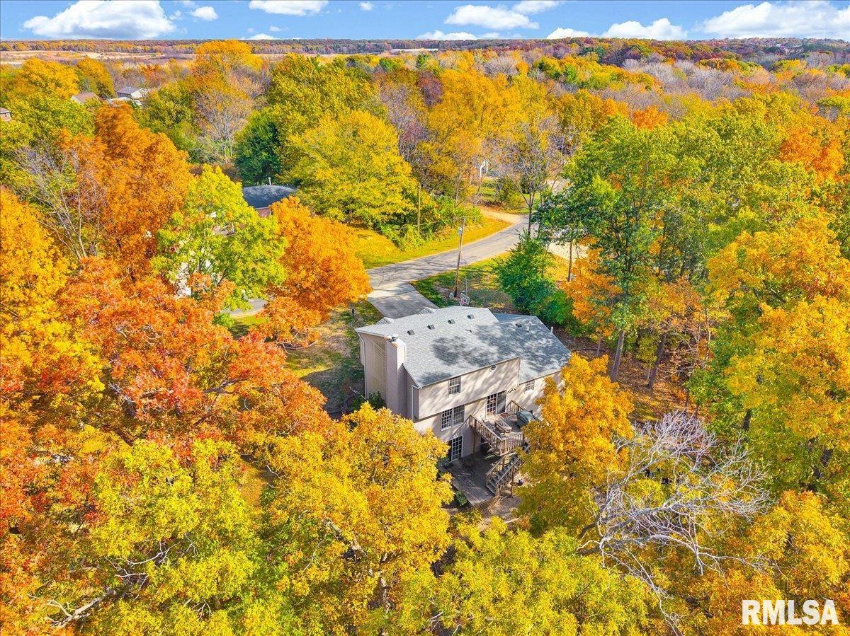 6 Raleigh Avenue Mackinaw, IL 61755 - Photo 46 of 55