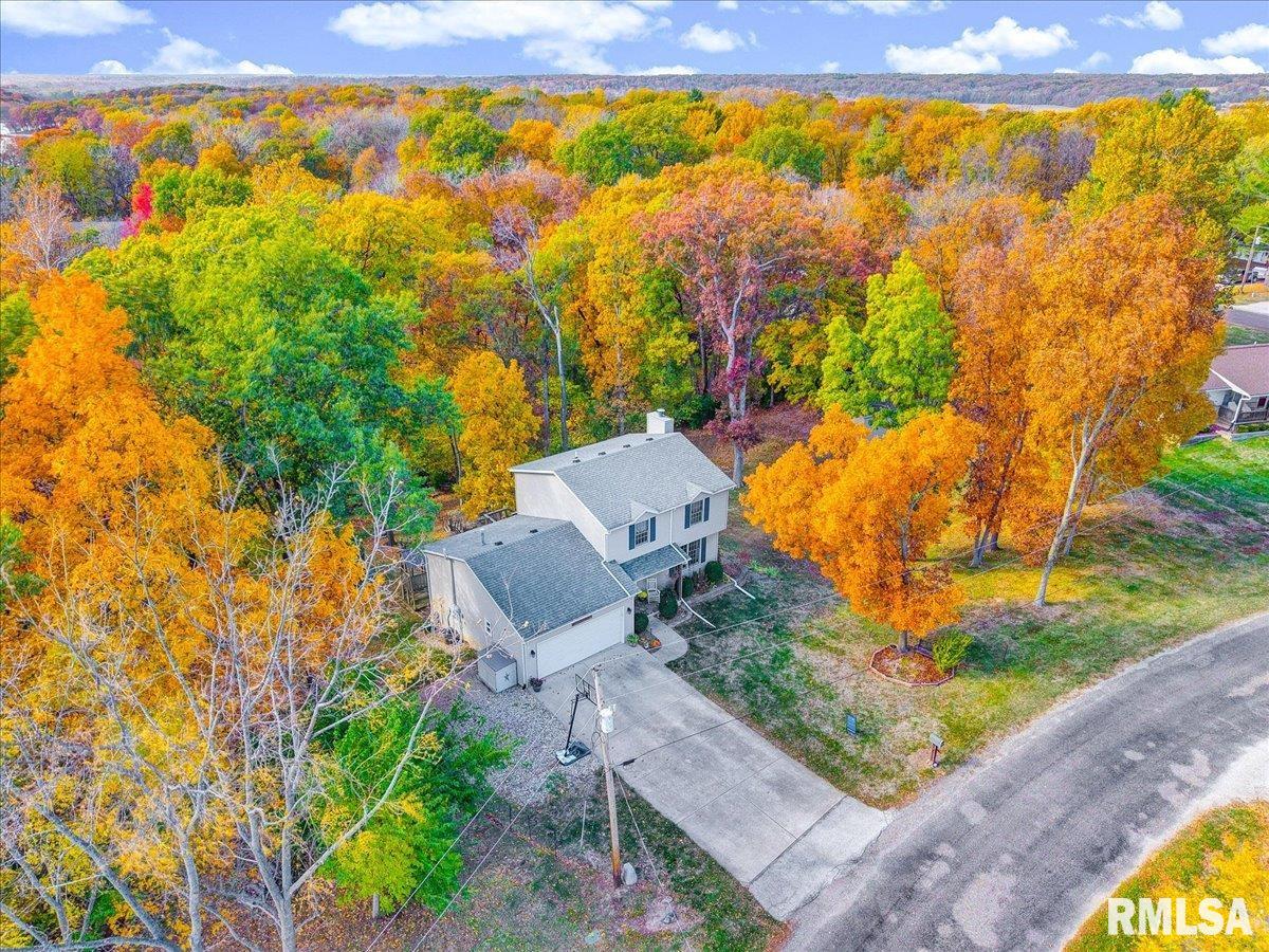 6 Raleigh Avenue Mackinaw, IL 61755 - Photo 47 of 55