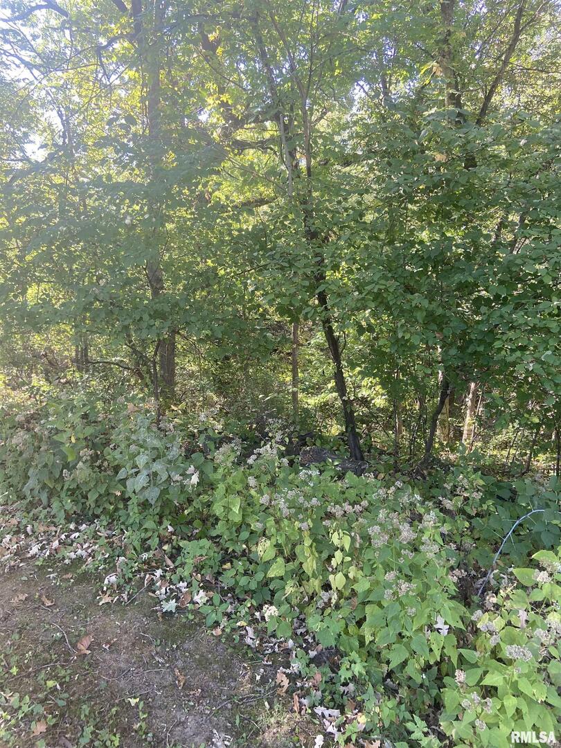 700 North Bluff Boulevard Clinton, IA 52732 - Photo 2 of 4