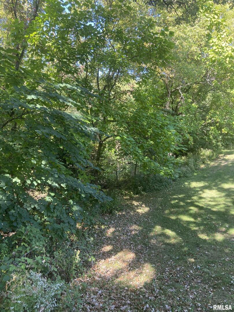 700 North Bluff Boulevard Clinton, IA 52732 - Photo 3 of 4